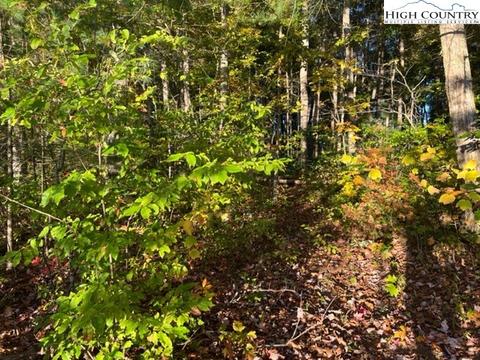 tbd Smith Dixon Rd, Crumpler, NC 28617 photo 4