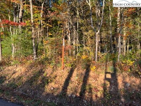tbd Smith Dixon Rd, Crumpler, NC 28617 photo 11
