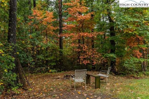 1162 Staghorn Rd, Purlear, NC 28665 photo 46
