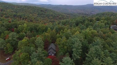 1162 Staghorn Rd, Purlear, NC 28665 photo 48