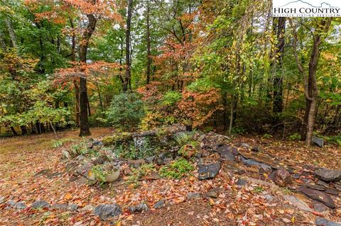 1162 Staghorn Rd, Purlear, NC 28665 photo 44