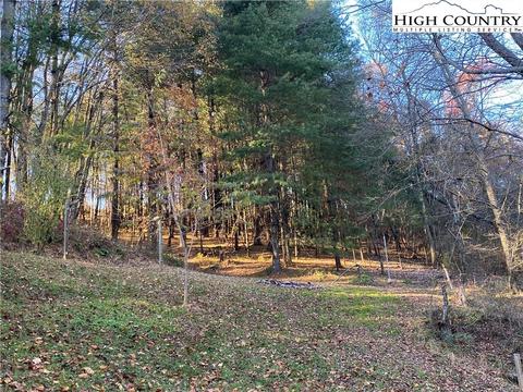 1794 Dewitt Rd, Sparta, NC 28675 photo 42