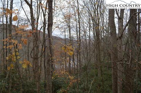 121 123 125 Deergrass Rd, Beech Mountain, NC 28604 photo 2