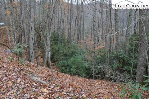 121 123 125 Deergrass Rd, Beech Mountain, NC 28604 photo 7