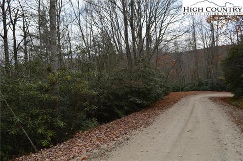 121 123 125 Deergrass Rd, Beech Mountain, NC 28604 photo 5