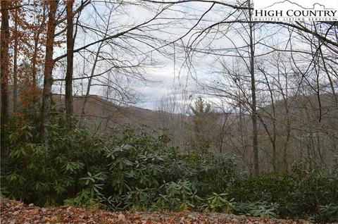 121 123 125 Deergrass Rd, Beech Mountain, NC 28604 photo 4