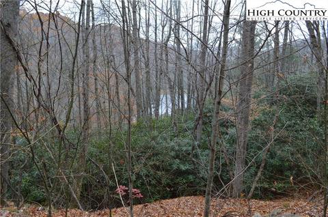 121 123 125 Deergrass Rd, Beech Mountain, NC 28604 photo 8