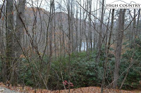 121 123 125 Deergrass Rd, Beech Mountain, NC 28604 photo 9