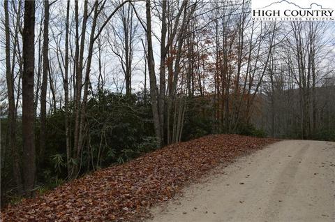 121 123 125 Deergrass Rd, Beech Mountain, NC 28604 photo 3
