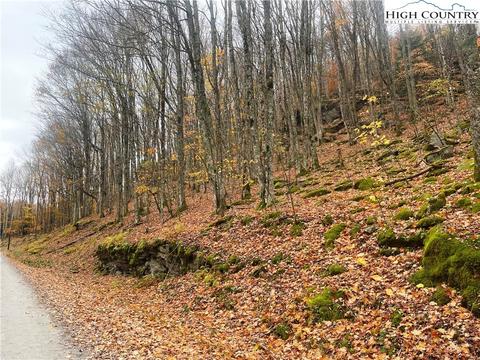 177 Wild Daisy Ln, Beech Mountain, NC 28604 photo 2