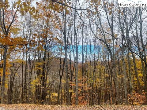 177 Wild Daisy Ln, Beech Mountain, NC 28604 photo 1