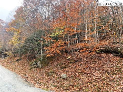 204 Locust Ridge Rd, Beech Mountain, NC 28604 photo 1