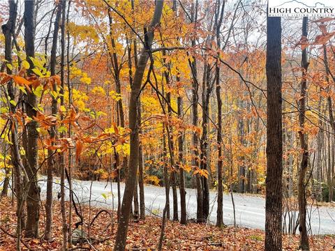 204 Locust Ridge Rd, Beech Mountain, NC 28604 photo 3