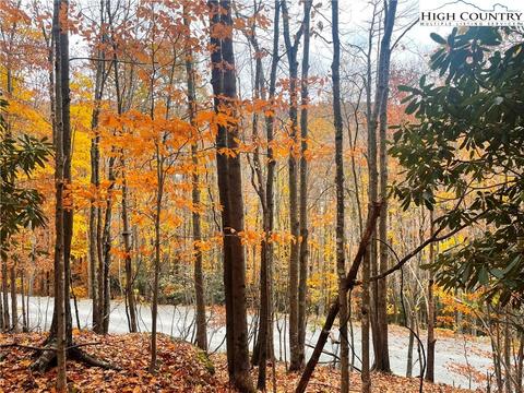 204 Locust Ridge Rd, Beech Mountain, NC 28604 photo 2