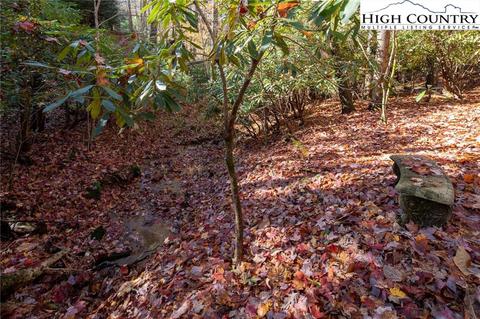 479 Mount Paron Rd, Deep Gap, NC 28618 photo 45