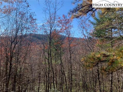 1027 Laurel Cir E, Deep Gap, NC 28618 photo 5