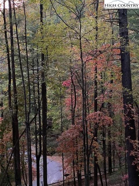 128 Trout Lake Rd, Deep Gap, NC 28618 photo 25