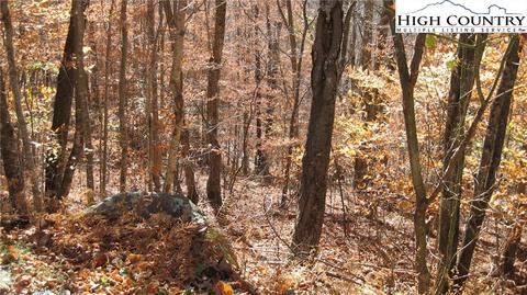 118 Aster Trl, Beech Mountain, NC 28604 photo 4