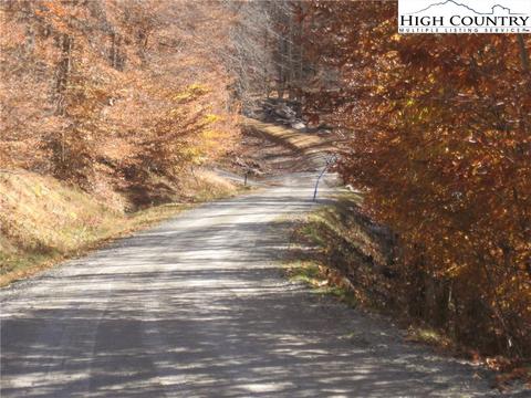 118 Aster Trl, Beech Mountain, NC 28604 photo 2