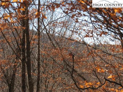 118 Aster Trl, Beech Mountain, NC 28604 photo 3