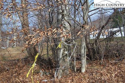 4614 Meat Camp Rd, Todd, NC 28684 photo 7
