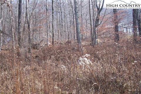 4614 Meat Camp Rd, Todd, NC 28684 photo 8
