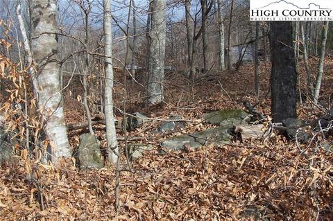 4614 Meat Camp Rd, Todd, NC 28684 photo 6