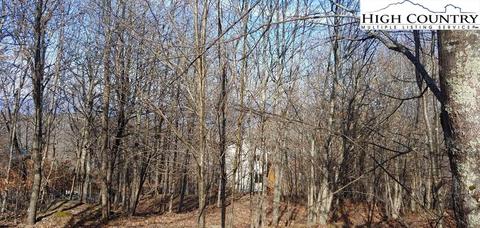 106 Wedling Weg, Beech Mountain, NC 28604 photo 2