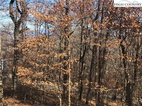 110 Village Cluster Rd, Beech Mountain, NC 28604 photo 2