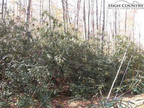 539 Pinnacle Ridge Rd, Beech Mountain, NC 28604