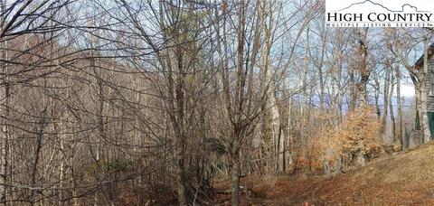 103 Snowplow Ln, Beech Mountain, NC 28604 photo 1