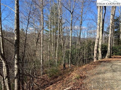 1708 Rash School Rd, Creston, NC 28615 photo 34