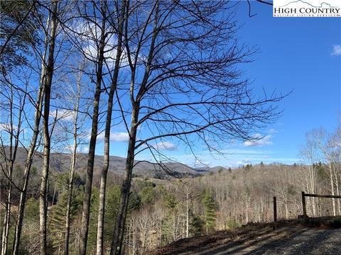 1708 Rash School Rd, Creston, NC 28615 photo 32