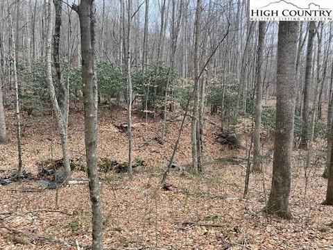 lot50 Three Top Rd, West Jefferson, NC 28694