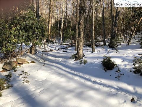238 Poplar Dr, Beech Mountain, NC 28604 photo 1