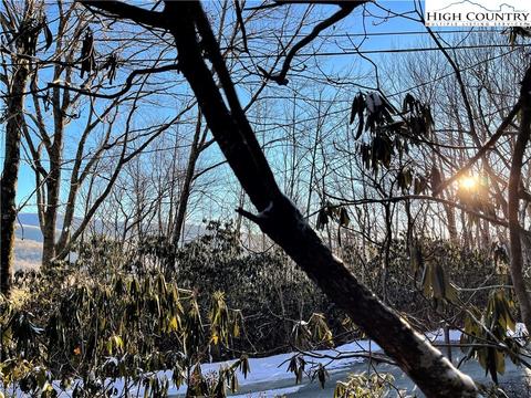 220 Oak Rd, Beech Mountain, NC 28604 photo 2