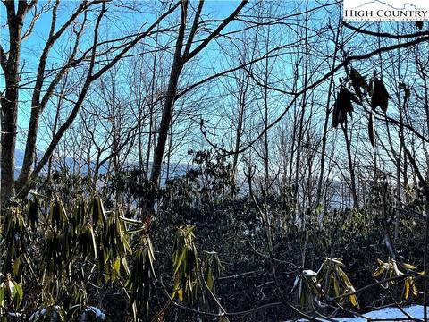 220 Oak Rd, Beech Mountain, NC 28604 photo 1