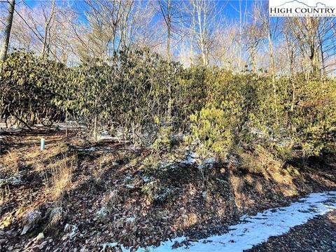 220 Oak Rd, Beech Mountain, NC 28604 photo 3