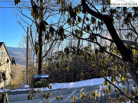 220 Oak Rd, Beech Mountain, NC 28604 photo 6