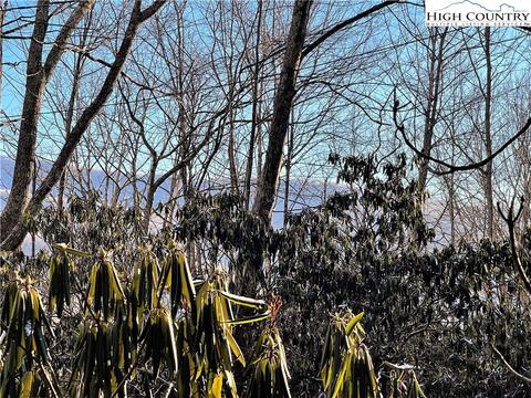 220 Oak Rd, Beech Mountain, NC 28604 photo 5