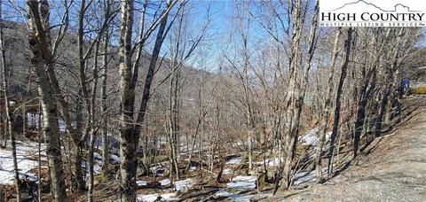 100 Toboggan Ln, Beech Mountain, NC 28604 photo 3