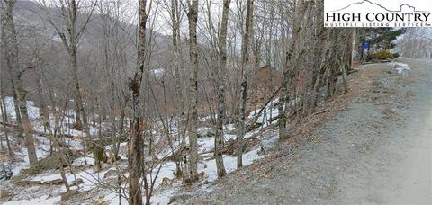 100 Toboggan Ln, Beech Mountain, NC 28604 photo 4