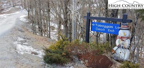 100 Toboggan Ln, Beech Mountain, NC 28604 photo 5