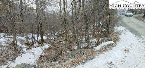 100 Toboggan Ln, Beech Mountain, NC 28604 photo 2