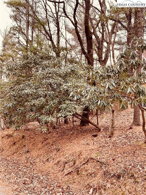 298 Buckshot Ridge Rd, Deep Gap, NC 28618 photo 42