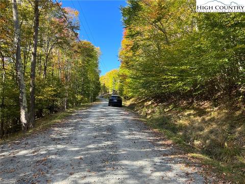 121 Aster Trl, Beech Mountain, NC 28607 photo 2
