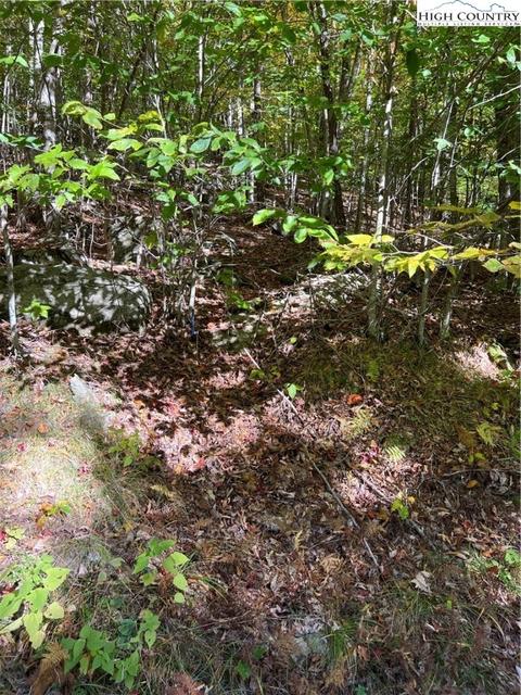 121 Aster Trl, Beech Mountain, NC 28607 photo 4
