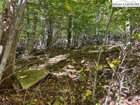 121 Aster Trl, Beech Mountain, NC 28607 photo 8