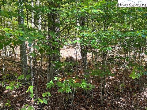 121 Aster Trl, Beech Mountain, NC 28607 photo 6