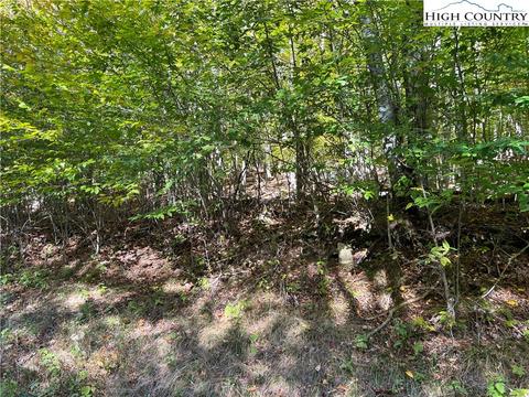 121 Aster Trl, Beech Mountain, NC 28607 photo 9